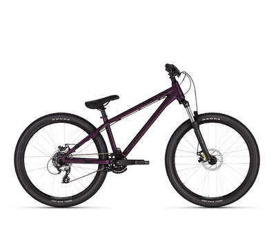 WHIP 10 PURPLE