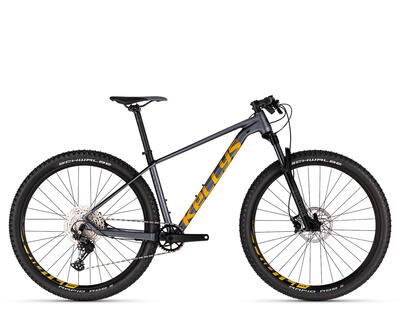 GATE 30 DARK 29"