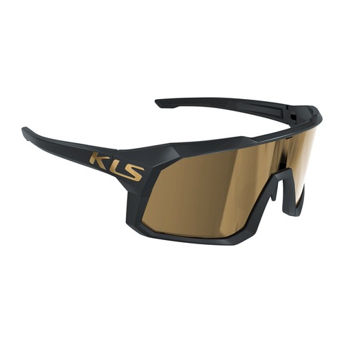 DICE II GOLD POLARIZED